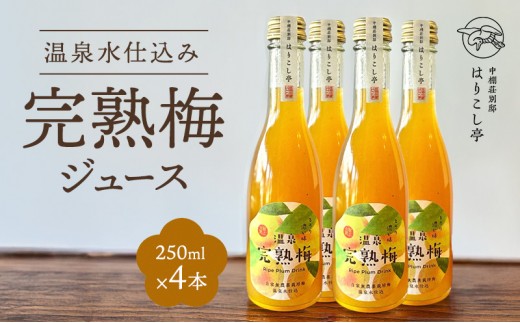 
                  梅ジュース　250ml×4本　中棚温泉　長野　信州　小諸
                
