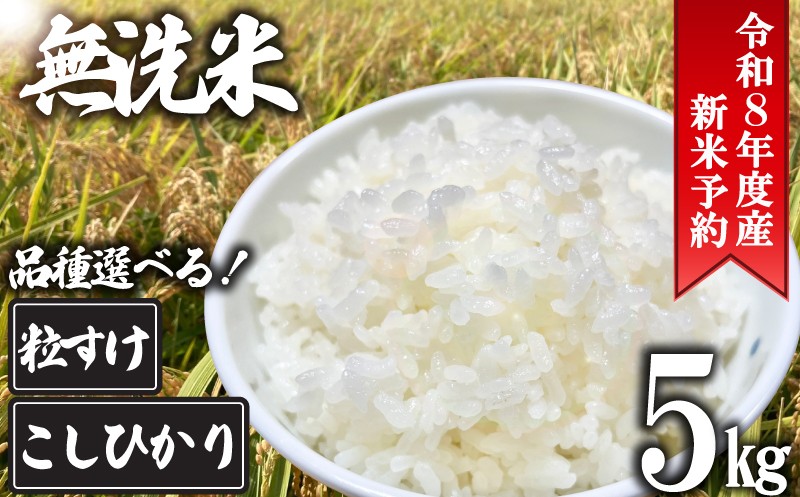 
                  先行予約 無洗米 5kg 令和8年産 千葉県産 米 新米 こめ 粒すけ つぶすけ コシヒカリ こしひかり コメ 精米 白米 むせんまい ご飯 ごはん お弁当 おにぎり 国産 千葉県産 千葉県 旭市 オオナギファーム onf
                