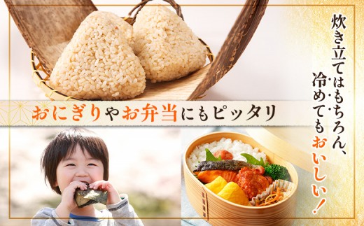 【令和8年度産】 食味ランキング「特A」ななつぼし玄米定期便 (10kg×3回)