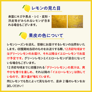 先行受付 2026年11月～発送 家庭用 広島産 レモン 約5kg 
