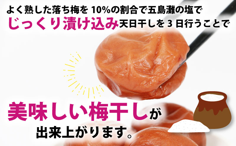しそ漬け 梅干 完熟 南高 1.3kg 夢萬開 梅干し うめぼし うめ干し 梅 農家直送 産地直送 手作り 紫蘇 漬け 国産 愛媛 宇和島 F010-105001