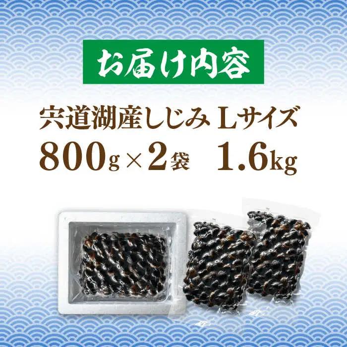 しじみ しじみ 砂抜き済 Lサイズ800×2袋(1.6kg) 島根県松江市/しじみ市場株式会社[ALDK005] しじみ しじみ