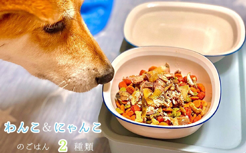 
無添加 ペットフード (イワシ煮 豆乳鍋) ワンコとニャンコのご飯 2種類 4袋 犬 猫 ドッグフード キャットフード 安心 安全 ペット フード ペット用品 ヒューマングレード リッチフード いぬ ねこ 犬用 猫用 自然食材 魚 肉 野菜 やさい ごはん ご飯 餌 エサ わんこ にゃんこ 健康 健康食品
