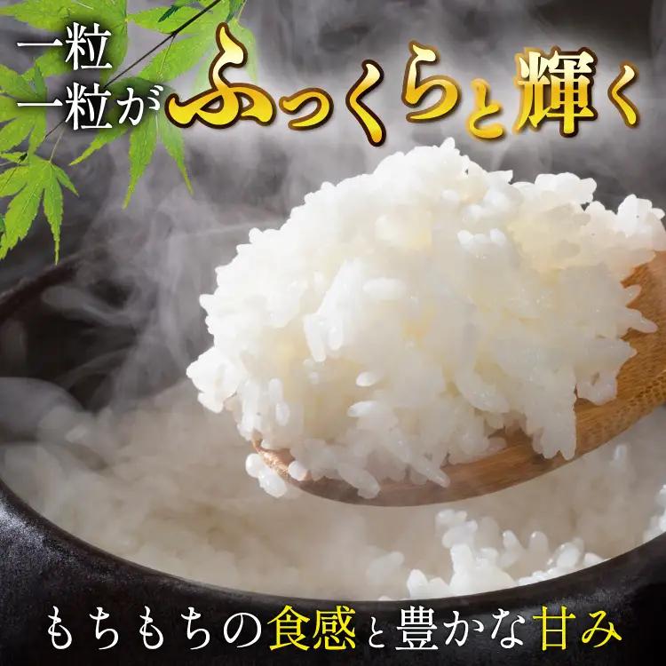 3回 定期便 米 宮城県産 とまたんのひとめぼれ 10kg (5kg×2袋) 総計30kg 