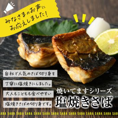 ふるさと納税 佐伯市 < 訳あり > 塩焼きサバ 切り身(計22切・2切入り×11袋) 【DL24】【鶴見食賓館】 |  | 02