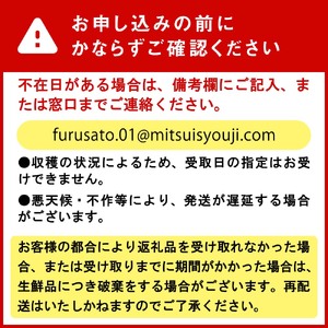 ＜ 8月上旬より発送 ＞ 北海道産 カラフルトマト カラフルミニトマト ミニトマト 1kg #にじいろとまと ＜ 予約受付 ＞