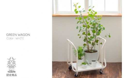 【TETSUNAGI】グリーンワゴン(T100502) FC176002