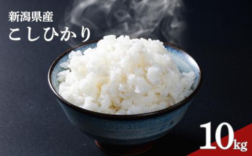 新米 新潟産 こしひかり 令和8年産 コシヒカリ 10㎏ 5kg × 2袋 JA北新潟コシヒカリ こしひかり 新潟 米 お米 こめ ごはん ブランド米 新潟産 コシヒカリ 8年産 R8 JA 北新潟農業協同組合 新潟県 新発田市 JA015