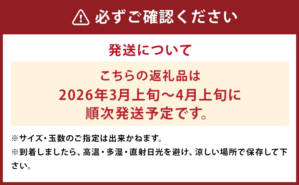 少量オススメ！木なり完熟不知火約2.5㎏