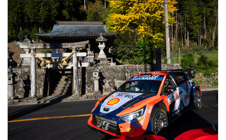 ラリージャパン【三河湖SS（三河湖観戦エリア）観戦券／大人４名（トヨタテクニカルセンター下山駐車場P&R）】5月31日（日）