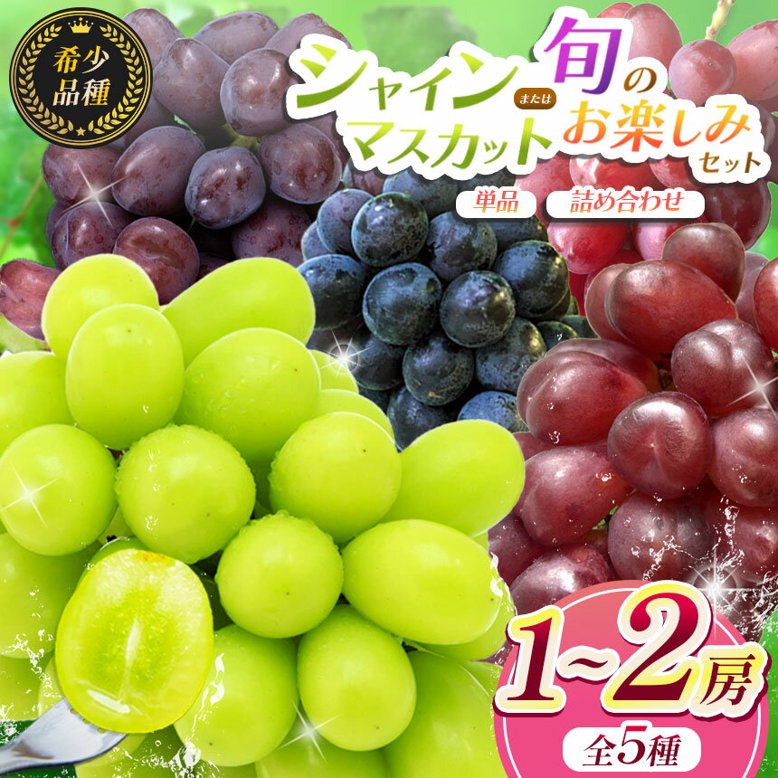 【ふるさと納税】 【先行予約】選べる！有機肥料栽培 シャインマスカット（単品 or お楽しみセット） | 果物 くだもの フルーツ 葡萄 ぶどう ブドウ シャインマスカット 希少 マイハート BKシードレス 富士の輝き クイーンルージュ® 長野県 塩尻市