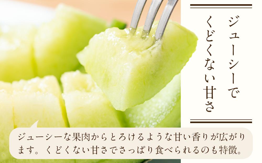 【令和8年発送分】KOEDO MELON　真実－manami－　2玉 ／ メロン 青肉 ギフト 埼玉県