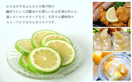 玉名市産 レモン 2kg 【 熊本玉名・みかん専門店より 】 | フルーツ 果物 くだもの 柑橘 れもん 玉名 たまな 熊本県 玉名市