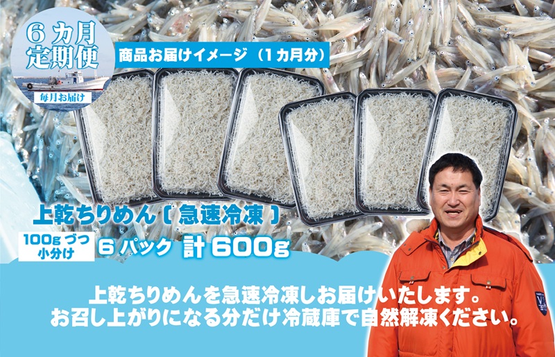 【定期便】泉州しらす （上乾ちりめん）600g×全6回 真面目漁師 濱ちゃんのこだわり 099Z311