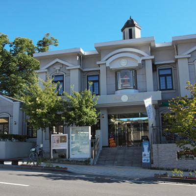 ふるさと納税 長野県 30弁オルフェウス　イタリア象嵌 　ブルー 曲目;美女と野獣 |  | 02