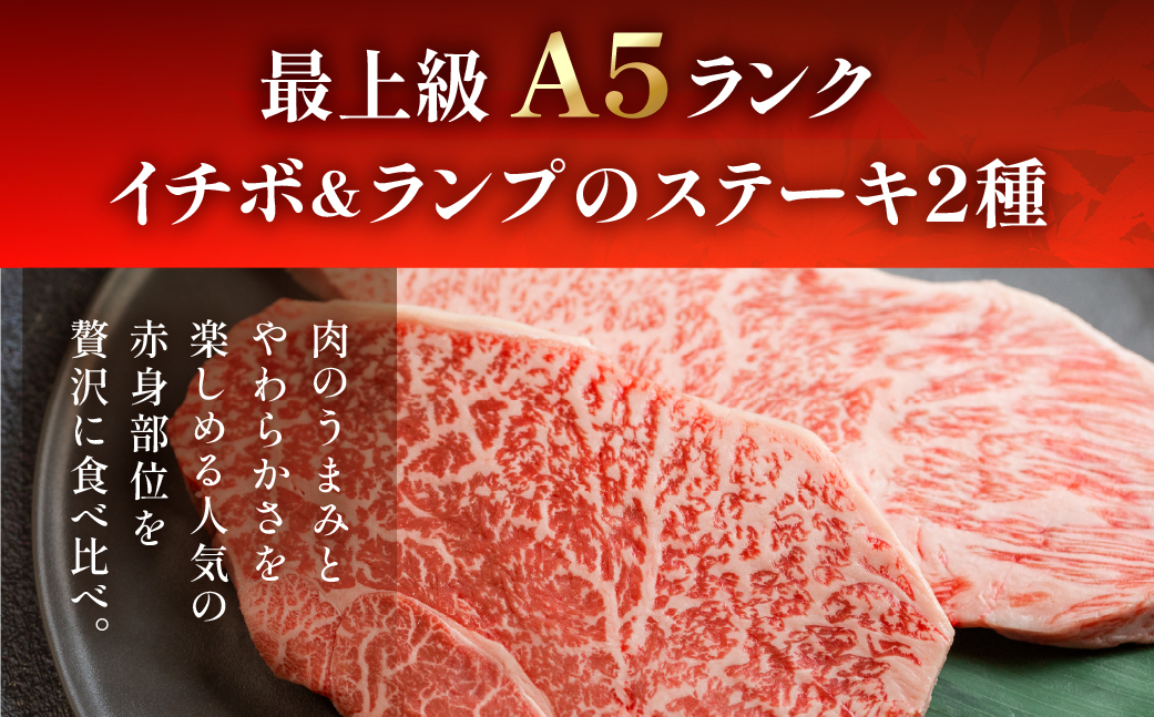 A5飛騨牛いちぼ・ランプステーキ 約270g(約135g×2枚) イチボ らんぷ【冷凍】飛騨牛 牛肉 赤身 ブランド牛 肉ギフト ランプ ステーキ【11-1023】