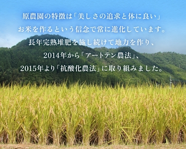 【令和8年産米先行受付】原さんちのお米 玄米 10kg ひのひかり 米 お米 こめ コメ  ご飯 ヒノヒカリ 常温 大分県 大分 玖珠町 玖珠