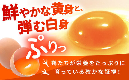 【全12回定期便】お茶と海藻で健康育ち 元気卵 720個（60個×12回） / たまご タマゴ 玉子 鶏卵 / 亀山市 / 藪本養鶏園[AMBH011]