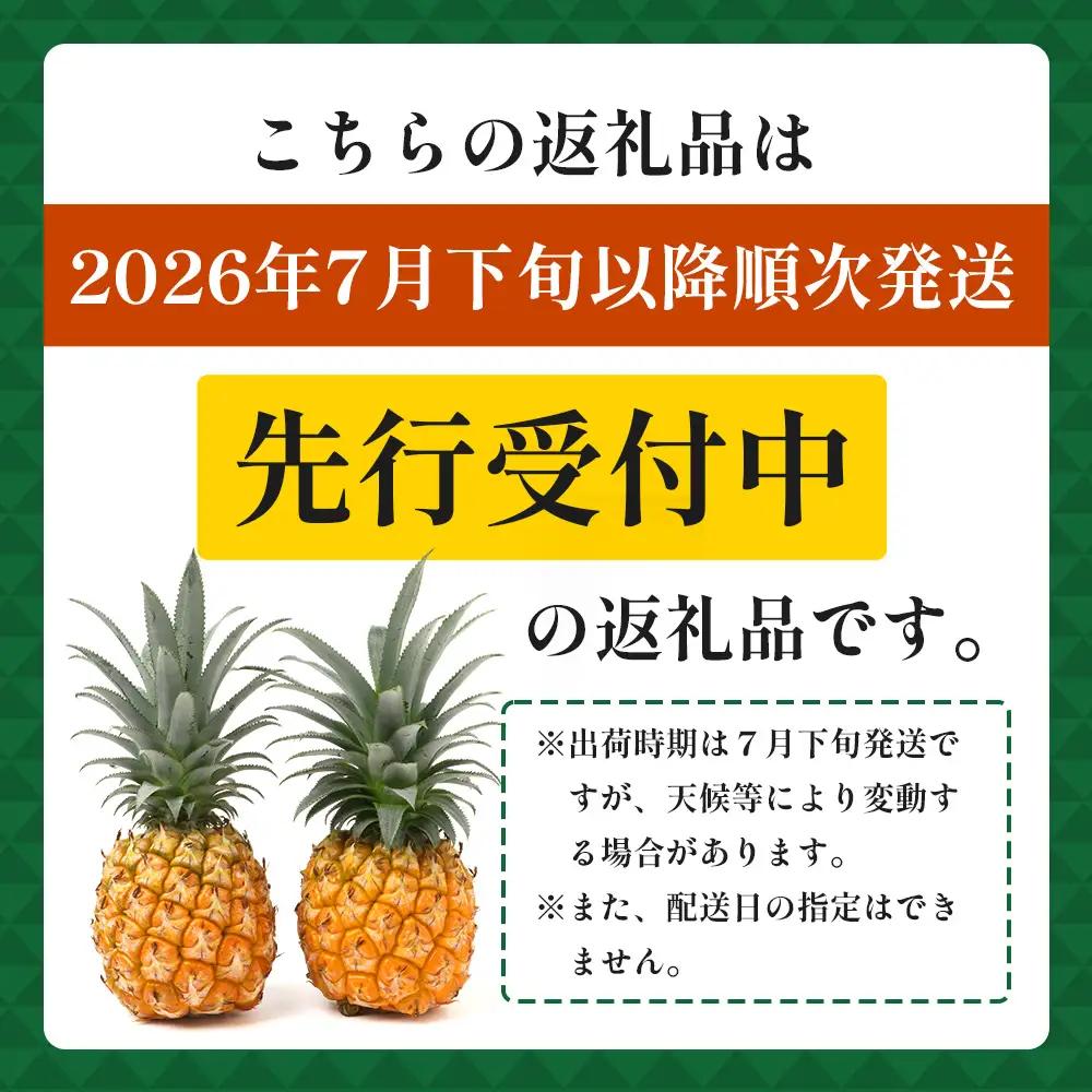 【先行受付】パイナップル/ボゴール種 (約800g×2玉) ≪2026年7月下旬以降順次発送≫ DS-004 ｜パイン パイナップル パインアップル フルーツ ボゴールパイン スナックパイン 産地直送