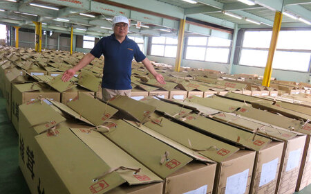 嬉しい詰め合わせ3点セット！大分県産干し椎茸 日田市 / 高木商店 椎茸 どんこ しいたけ こうしん[AREX003]