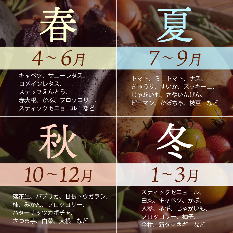 お野菜 4～5品 詰め合わせセット 富士山の湧水でつくる 四季の美味しい 旬 野菜