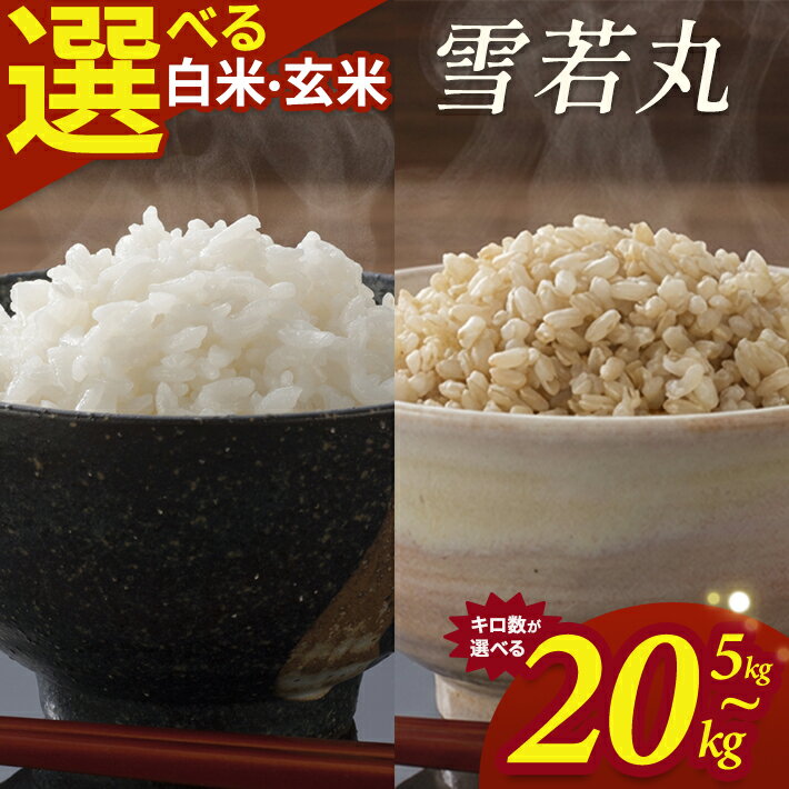 【ふるさと納税】雪若丸 選べる 5kg 10kg 15kg 20kg 白米 玄米 令和7年産 山形県酒田産 東北 山形県 酒田市 庄内地方 庄内平野 庄内米 お米 ごはん ご飯 精米