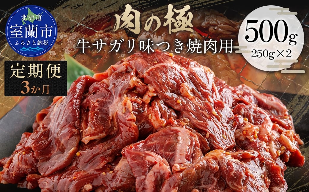 
            【3か月定期便】牛サガリ味つき焼肉用 500g (250g×2) 【ふるさと納税 人気 おすすめ ランキング 肉 牛肉 牛サガリ 牛 にく ニク 味付き 焼肉 バーベキュー BBQ 北海道 室蘭市 送料無料】 MROBM025
          