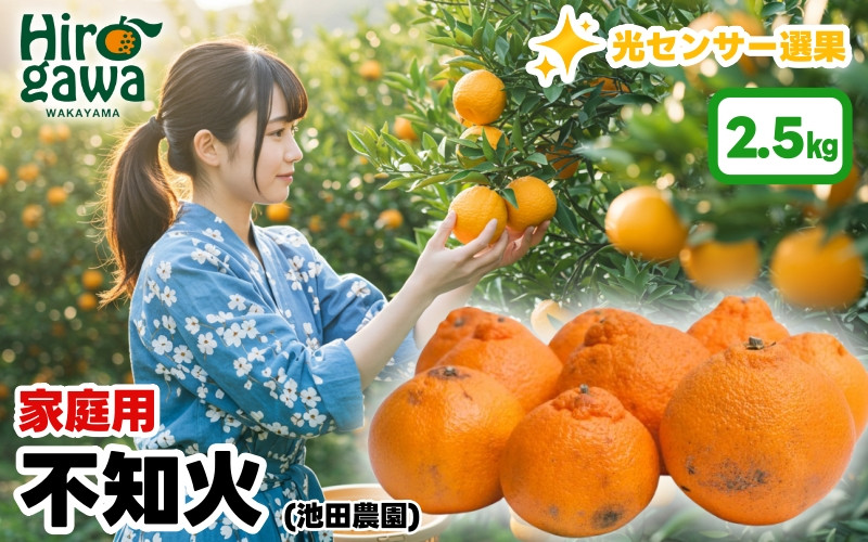 
            不知火 （ しらぬい ） 2.5kg+250g（痛み補償分） 家庭用 光センサー / デコポン 訳あり 甘い 和歌山 柑橘 ※2月上旬～3月下旬に順次発送 ※北海道・沖縄・離島への配送不可【ikd010-c-2d5C】
          