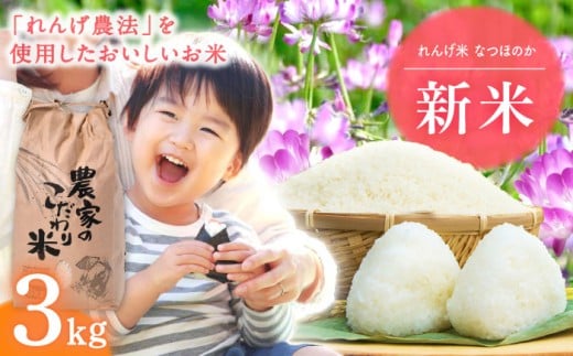 【令和7年度米】 れんげ米 なつほのか 3kg【ふきの陶】 [NF18] 白米 3kg なつほのか こめ R7年度米 はくまい 白米 3kg 白米 3kg 米