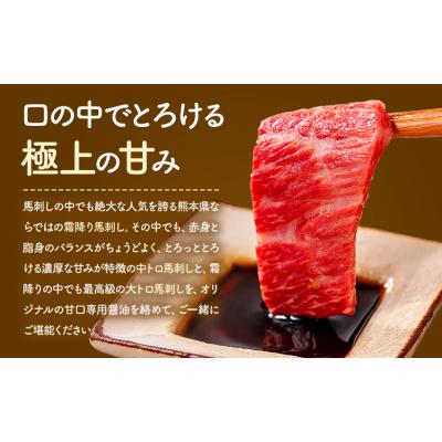 ふるさと納税 南阿蘇村 馬刺し 極上 霜降り 2種 食べ比べ セット《30日以内に出荷予定(土日祝除く)》 |  | 01