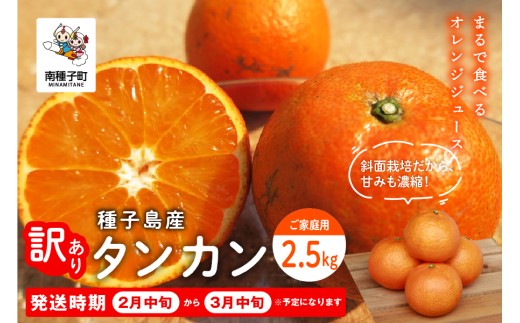 《 先行予約 》種子島産 タンカン (ご家庭用)約2.5kg（12～18玉）【2027年2月中旬〜3月中旬頃順次発送】