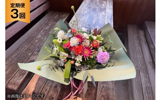 花 定期便 秋 生花 アレンジメント Sサイズ 計3回 [ミドリブ 長崎県 東彼杵町 hs42bag220007] お花 アレンジメントフラワー アレンジメント花 玄関飾り