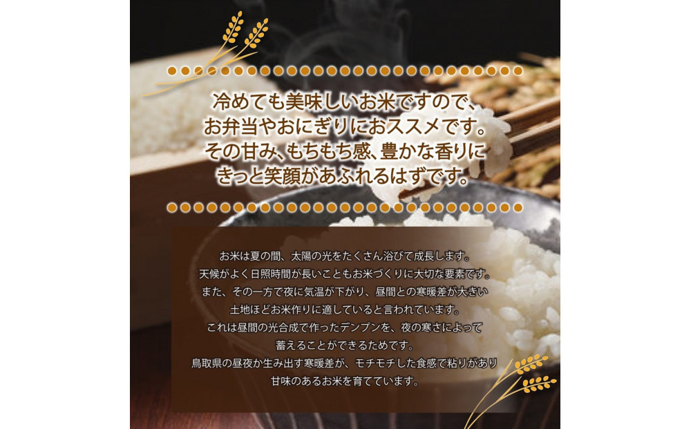 ＜令和7年産＞原田農園のきぬむすめ(無洗米・10kg) 【鳥取県 境港市】