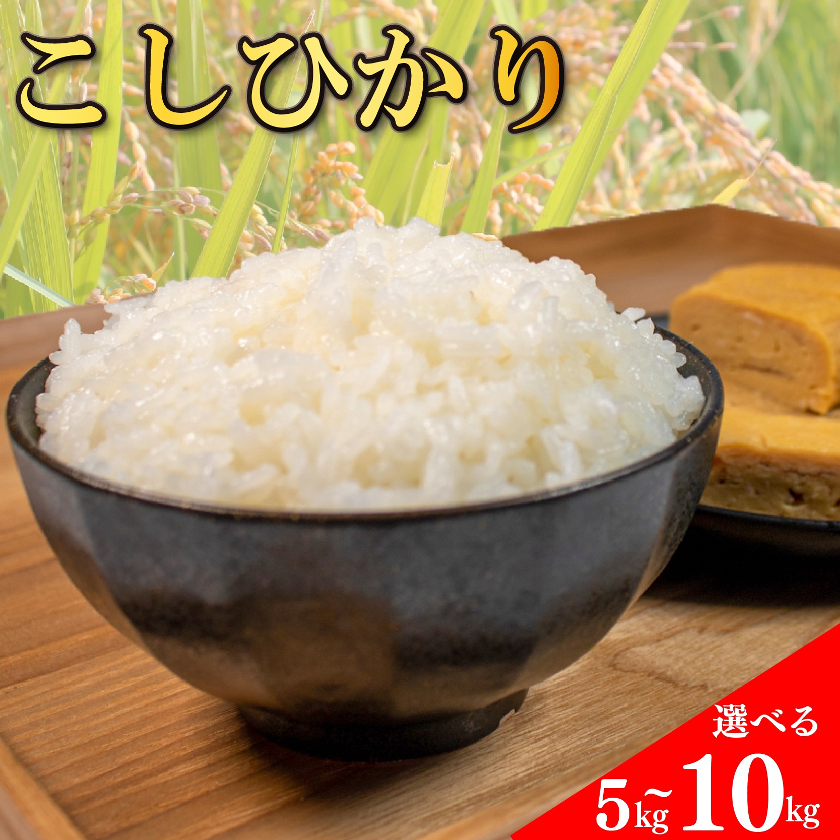 
            コシヒカリ 無洗米 5kg 10kg 令和7年産 米 こめ ご飯 ごはん おにぎり 白米 精米 新米 無洗米 卵かけご飯 食品 備蓄 備蓄米 保存 防災 ギフト 贈答 プレゼント お取り寄せ グルメ 送料無料 徳島県 阿波市 須見商店
          