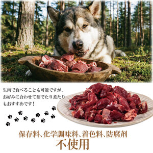 ペットフード 鹿肉 小間切れ 3キロ (250g×12パック) ドリームチーム