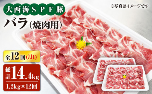 【月1回約1.2kg×12回定期便】大西海SPF豚 バラ（焼肉用）計14.4kg 訳あり ＜大西海ファーム [CEK121]