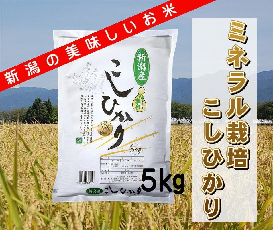 
                  【令和8年産新米予約】ミネラル栽培こしひかり 5kg 白米 精米 井上米穀店 新潟県 米 こめ コメ 新米 新米予約 令和8年度産 10月上旬より順次発送予定  1I01011
                