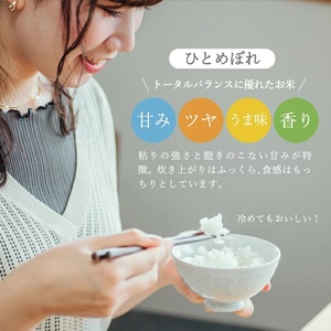 1249R07M03a 遊佐町産ひとめぼれ5kg (令和7年産米)3月上旬