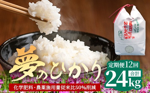 
                  定期便 12回配送 新米 予約受付 令和8年産 れんげ米「夢のひかり」2kg×12回 合計24kg 精米 こしひかり コシヒカリ お試し 広島 庄原 12ヶ月 12か月 12ヵ月
                