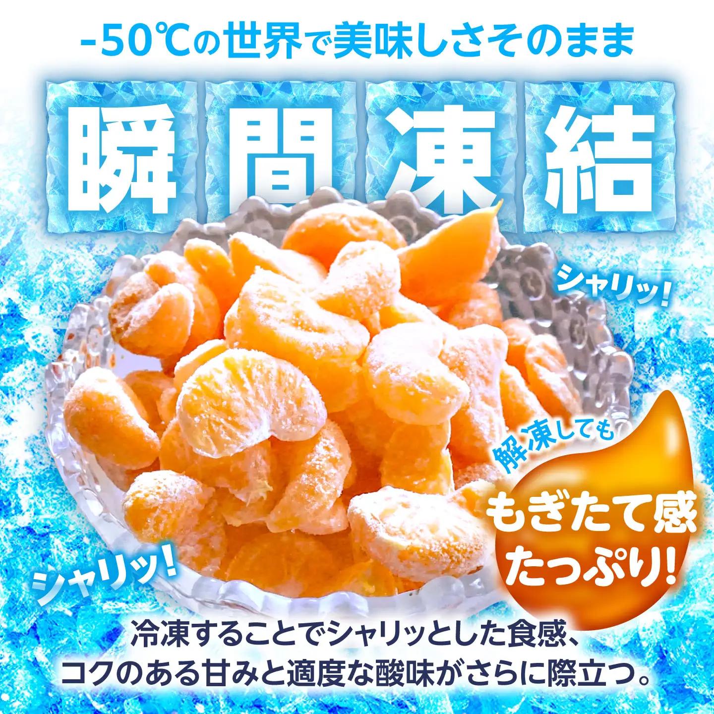 【訳あり】冷凍みかん 500g×2 温州みかん AHBD006