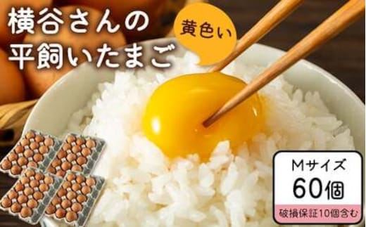 
										
										横谷さんの平飼いたまご Mサイズ60個入り 破損保証10個含む 山江村ヤマメ生産組合《30日以内に出荷予定(土日祝除く)》---sy_cykttmga_30d_23_13500_60p---
									