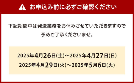 北九州 合馬筍ご飯の素 2袋 たけのこ 筍 竹の子 筍ご飯 たけのこご飯 ごはんの素 ご飯の素 混ぜ込みご飯 混ぜご飯