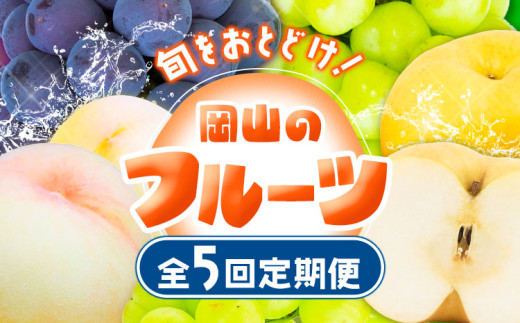 フルーツ 定期便 果物 定期便【2025年先行予約】定期便5回コース マスカット・オブ・アレキサンドリア 1房 岡山の白桃 6玉 ニューピオーネ 1房 瀬戸ジャイアンツ 1房 シャインマスカット 晴王 2房 あたご梨 2玉 株式会社山博(中本青果) 《2025年7月上旬-11月下旬頃出荷》岡山県 浅口市【配送不可地域あり】