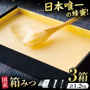 【ふるさと納税】【先行受付 令和6年12月より発送】箱みつ 3個セット 合計1200g (400g×3個)　広川町 / 株式会社九州蜂の子本舗[AFAI017]