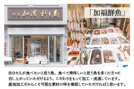 【先行予約/11月7日より順次発送】 「若狭小浜港産地直送」 越前がに (ズワイガニ) ボイル 1杯 / 蟹 かに カニ 小浜市 / 加福鮮魚【配送不可地域：北海道・沖縄・離島】 [BFBC004] 