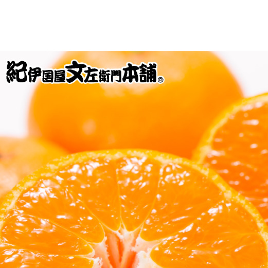 【2026年先行予約】田村みかん／特選ギフト品10kg【Sサイズ】赤秀_V7444