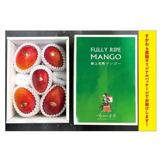 宮古島すがわら農園　完熟マンゴー2kg（3～6玉）（FR007）