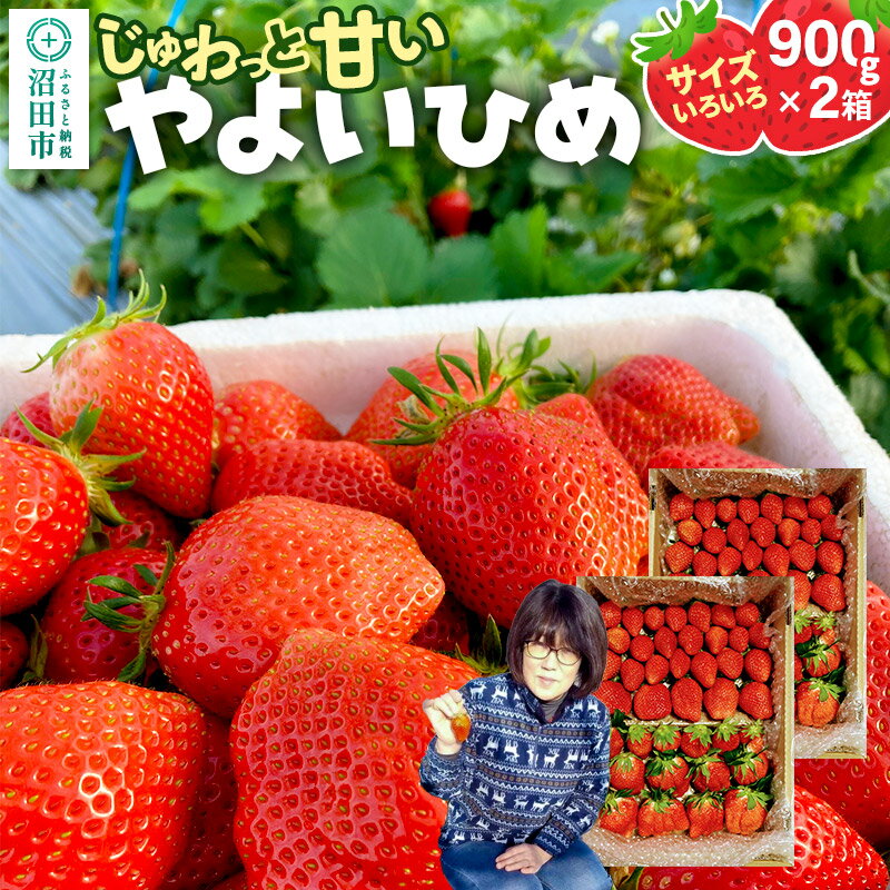 【ふるさと納税】《2026年1月上旬〜2月上旬発送》じゅわっと甘い！サイズいろいろ「やよいひめ」約1800g（約900g×2箱／梱包込）山口いちご園 苺 イチゴ いちご