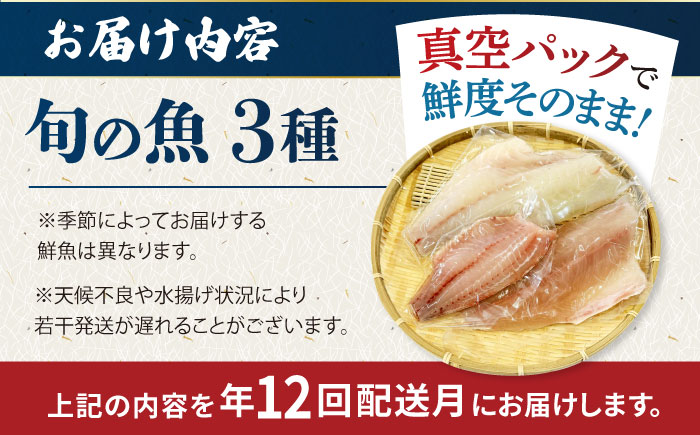 【全12回定期便】金澤仕立て 鮮魚ボックス 旬の魚3種 鮮魚 簡単 旬 海鮮 真空 冷蔵 五島市/金沢鮮魚 [PEP014]