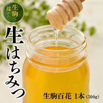 ふるさと納税 生駒市 生駒で採れた蜂蜜「生駒百花」500g |  | 01